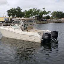 World cat 250 dc