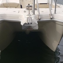 World cat 250 dc