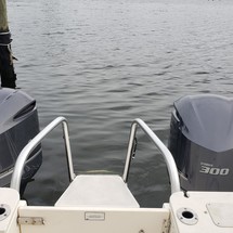 World cat 250 dc