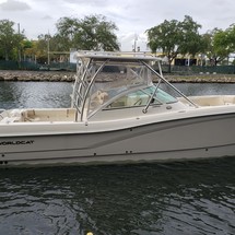 World cat 250 dc