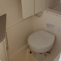 World cat 250 dc