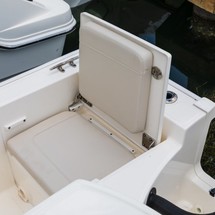 Boston Whaler 210 Montauk
