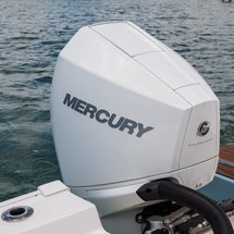 Boston Whaler 210 Montauk
