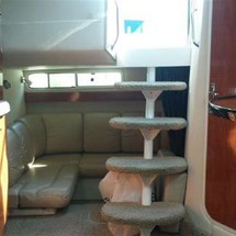 Larson Cabrio 310