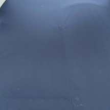 Larson Cabrio 310