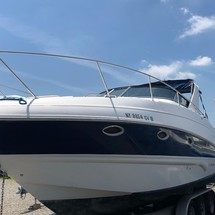 Larson Cabrio 310