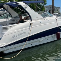 Larson Cabrio 310