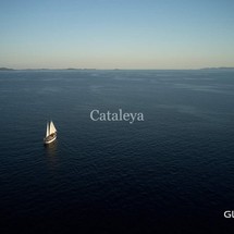 Cataleya