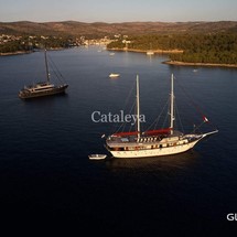 Cataleya