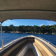 Novurania Chase 38