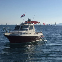 Damor 700