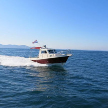 Damor 700