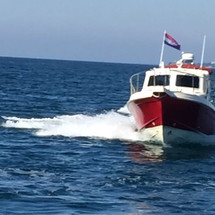Damor 700