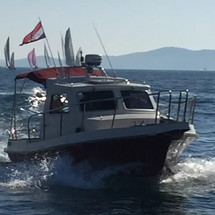 Damor 700