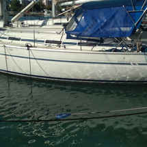 Bavaria 44