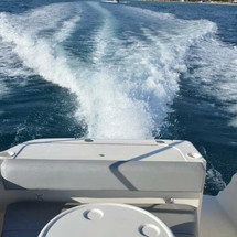 Sea Ray 275 Amberjack