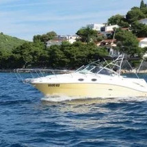 Sea Ray 275 Amberjack