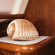 Beneteau Oceanis 411 Clipper