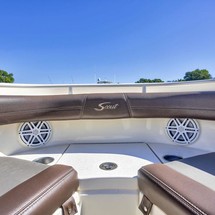 Scout Boats 350 LXF