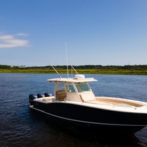 Scout Boats 350 LXF