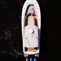 Scout Boats 350 LXF
