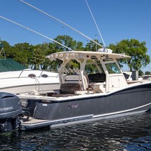 Scout Boats 350 LXF