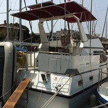 Atlantic 37
