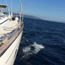 Bavaria 50 Cruiser
