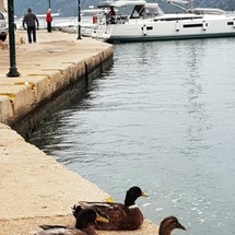 Jeanneau Sun Odyssey 440