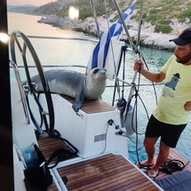 Jeanneau Sun Odyssey 440