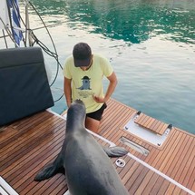 Jeanneau Sun Odyssey 440