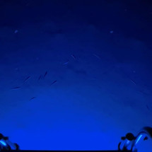 Beneteau Oceanis 46.1