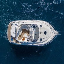Salpa Laver 38.5