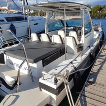 Axopar 28 T-Top
