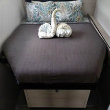 Leopard 40