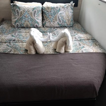 Leopard 40