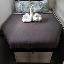 Leopard 40