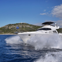 Johnson 56