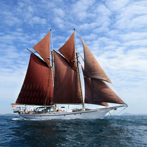 Schooner
