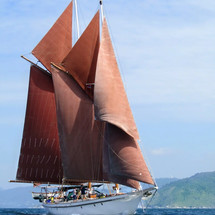 Schooner