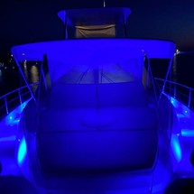 Sessa Fly 54