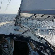 Bavaria 49