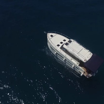 Futura 36