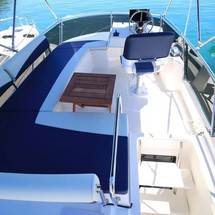 Delphia Platinium 989 Fly