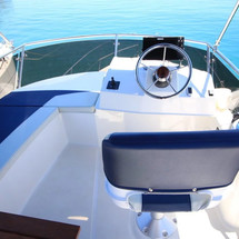 Delphia Platinium 989 Fly