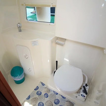 Delphia Platinium 989 Fly