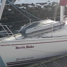 Delphia 33