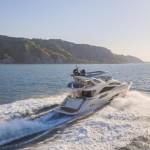 Dominator 800