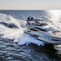 Dominator 800