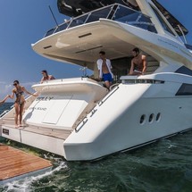 Dominator 800